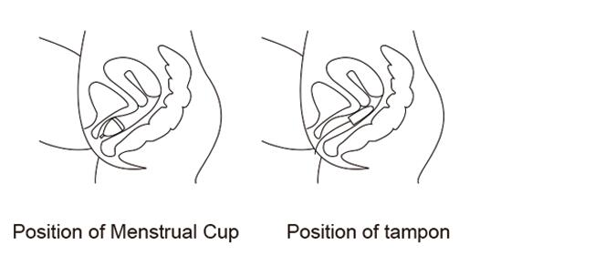 How To Use Silicone Menstrual Cup