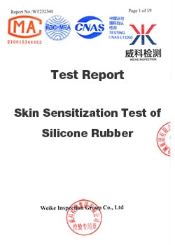 Skin sensitization Test